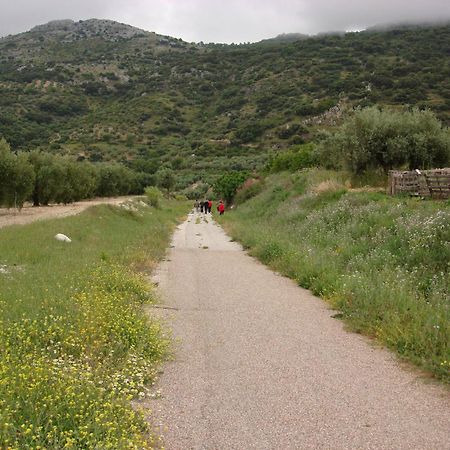 فندق مينسيا سابيتيكا Doña Mencía المظهر الخارجي الصورة